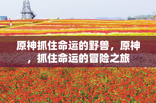 原神抓住命运的野兽,原神,抓住命运的冒险之旅 原神抓住命运的野兽,原神,抓住命运的冒险之旅
