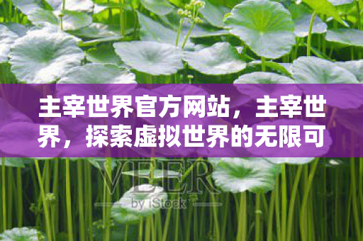 探索虚拟世界的无限可能图片