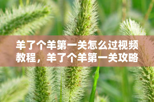 羊了个羊第一关怎么过视频教程,羊了个羊第一关攻略,轻松过关的秘诀 羊了个羊第一关怎么过视频教程,羊了个羊第一关攻略,轻松过关的秘诀