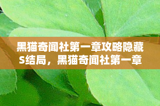 黑猫奇闻社第一章攻略隐藏S结局，黑猫奇闻社第一章攻略