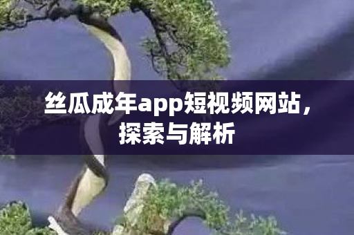 丝瓜成年app短视频网站,探索与解析 丝瓜成年app短视频网站,探索与解析