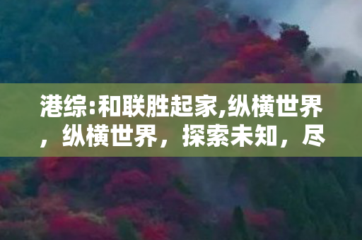 港综:和联胜起家,纵横世界,纵横世界,探索未知,尽享游戏魅力 港综:和联胜起家,纵横世界,纵横世界,探索未知,尽享游戏魅力