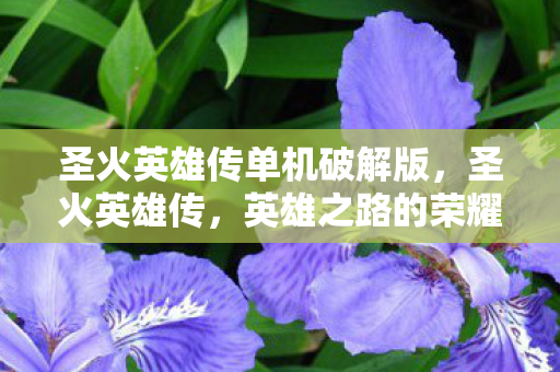 圣火英雄传单机破解版，圣火英雄传，英雄之路的荣耀与传承