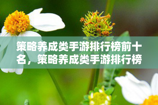 策略养成类手游排行榜前十名图片
