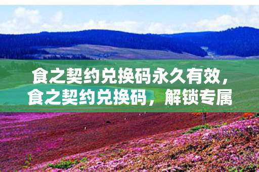 食之契约兑换码永久有效图片