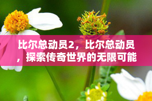 比尔总动员2，比尔总动员，探索传奇世界的无限可能