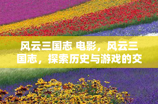 风云三国志 电影，风云三国志，探索历史与游戏的交汇点