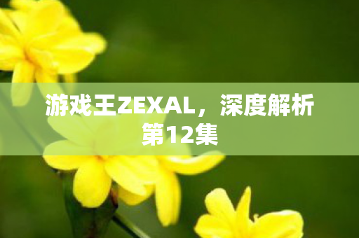 游戏王ZEXAL,深度解析第12集 游戏王ZEXAL,深度解析第12集