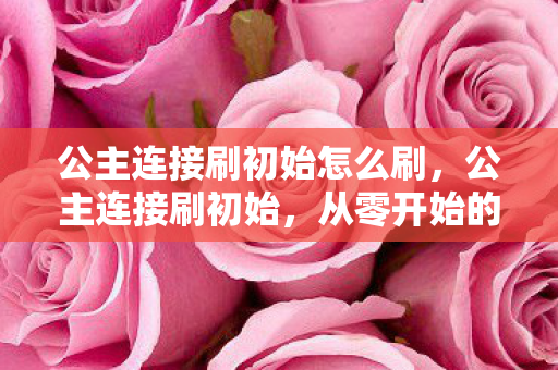 公主连接刷初始怎么刷,公主连接刷初始,从零开始的冒险之旅 公主连接刷初始怎么刷,公主连接刷初始,从零开始的冒险之旅