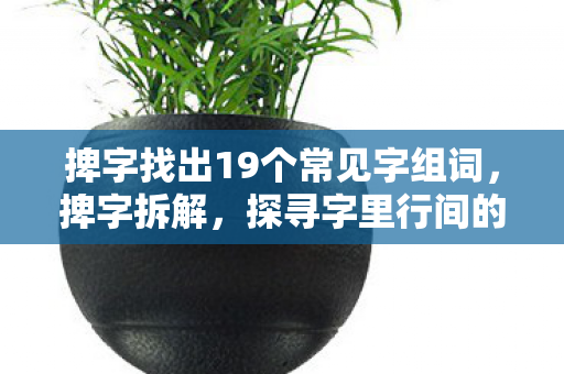 捭字找出19个常见字组词图片