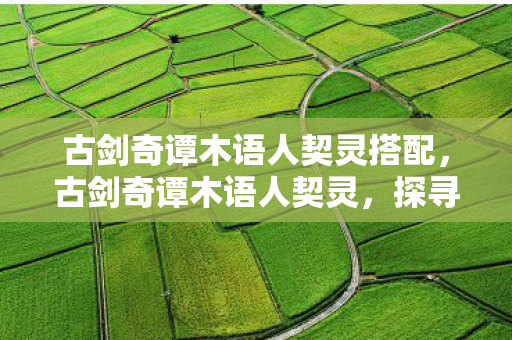 古剑奇谭木语人契灵搭配,古剑奇谭木语人契灵,探寻游戏中的神秘力量 古剑奇谭木语人契灵搭配,古剑奇谭木语人契灵,探寻游戏中的神秘力量