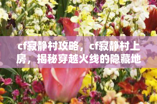 cf寂静村攻略,cf寂静村上房,揭秘穿越火线的隐藏地图与战术策略 cf寂静村攻略,cf寂静村上房,揭秘穿越火线的隐藏地图与战术策略