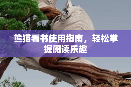 熊猫看书使用指南,轻松掌握阅读乐趣 熊猫看书使用指南,轻松掌握阅读乐趣