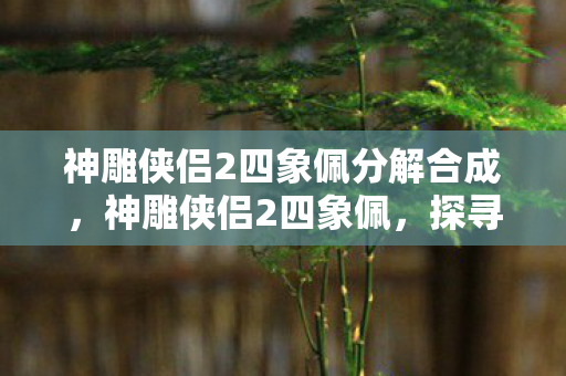 神雕侠侣2四象佩分解合成，神雕侠侣2四象佩，探寻游戏中的神秘宝物