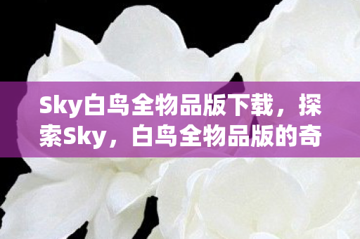 Sky白鸟全物品版下载，探索Sky，白鸟全物品版的奇妙世界