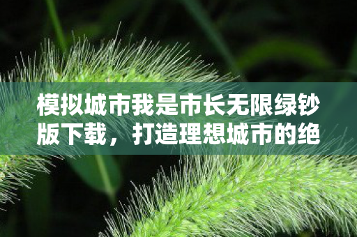 模拟城市我是市长无限绿钞版下载,打造理想城市的绝佳助手 模拟城市我是市长无限绿钞版下载,打造理想城市的绝佳助手