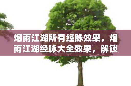 烟雨江湖所有经脉效果,烟雨江湖经脉大全效果,解锁你的江湖潜能 烟雨江湖所有经脉效果,烟雨江湖经脉大全效果,解锁你的江湖潜能