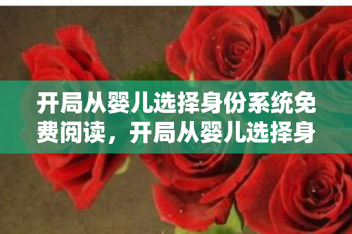 开局从婴儿选择身份系统免费阅读图片