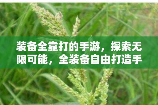装备全靠打的手游，探索无限可能，全装备自由打造手游的魅力