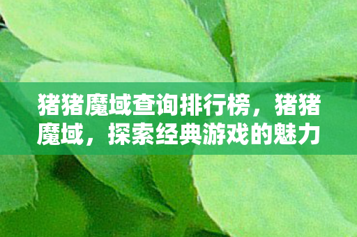 猪猪魔域查询排行榜,猪猪魔域,探索经典游戏的魅力与传承 猪猪魔域查询排行榜,猪猪魔域,探索经典游戏的魅力与传承