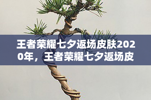 王者荣耀七夕返场皮肤2020年，王者荣耀七夕返场皮肤2020，浪漫再现，回忆重温