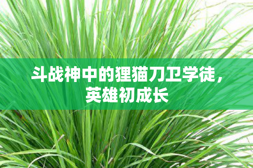 斗战神中的狸猫刀卫学徒,英雄初成长 斗战神中的狸猫刀卫学徒,英雄初成长