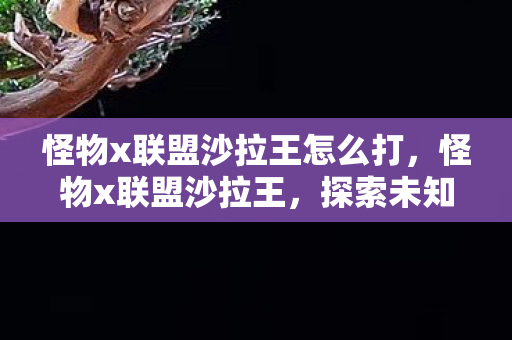 怪物x联盟沙拉王怎么打，怪物x联盟沙拉王，探索未知世界的奇幻之旅