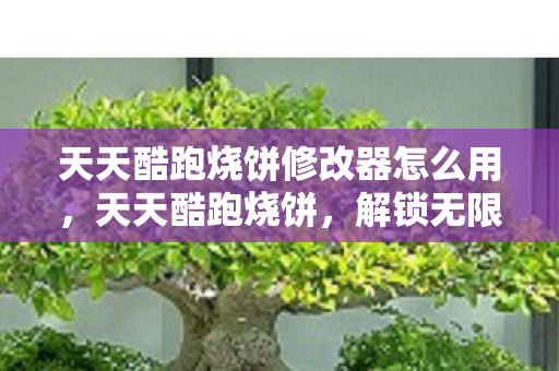 天天酷跑烧饼修改器怎么用,天天酷跑烧饼,解锁无限可能的跑酷新体验 天天酷跑烧饼修改器怎么用,天天酷跑烧饼,解锁无限可能的跑酷新体验