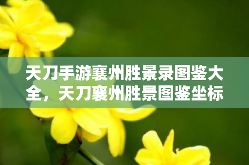 天刀手游襄州胜景录图鉴大全,天刀襄州胜景图鉴坐标,探寻游戏中的绝美风景 天刀手游襄州胜景录图鉴大全,天刀襄州胜景图鉴坐标,探寻游戏中的绝美风景