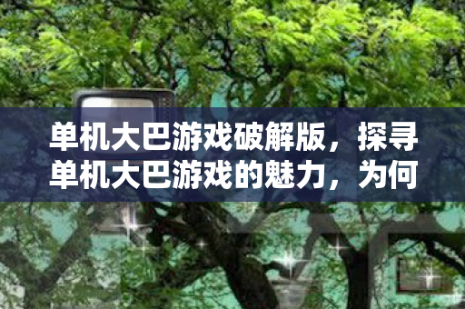 为何玩家钟爱这些经典之作图片