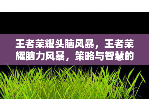 王者荣耀头脑风暴,王者荣耀脑力风暴,策略与智慧的碰撞 王者荣耀头脑风暴,王者荣耀脑力风暴,策略与智慧的碰撞