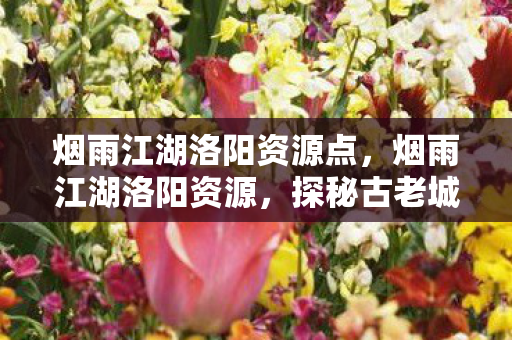 烟雨江湖洛阳资源点,烟雨江湖洛阳资源,探秘古老城市的宝藏 烟雨江湖洛阳资源点,烟雨江湖洛阳资源,探秘古老城市的宝藏