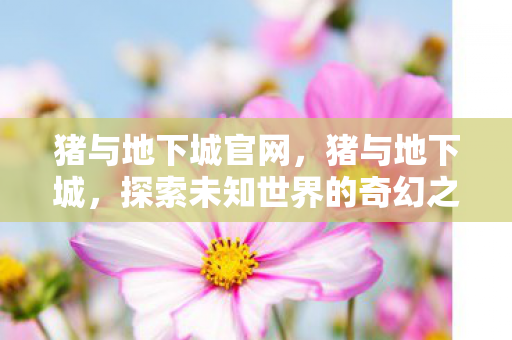 探索未知世界的奇幻之旅图片