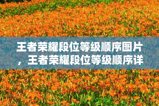 王者荣耀段位等级顺序图片图片