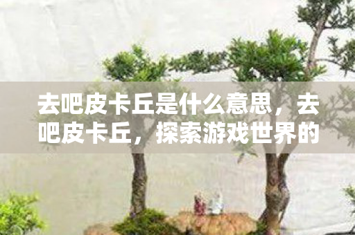 探索游戏世界的奇妙之旅图片