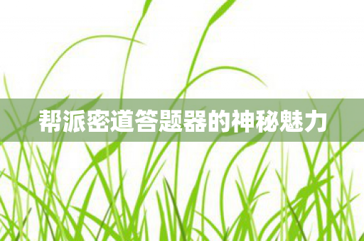 帮派密道答题器的神秘魅力 帮派密道答题器的神秘魅力