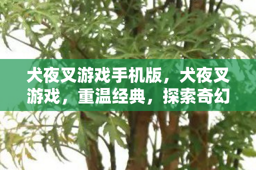 犬夜叉游戏手机版，犬夜叉游戏，重温经典，探索奇幻世界