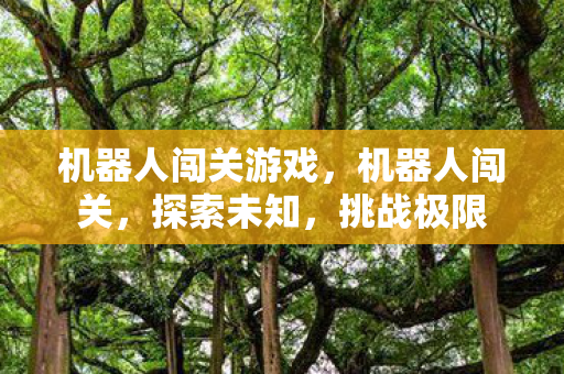 机器人闯关游戏,机器人闯关,探索未知,挑战极限 机器人闯关游戏,机器人闯关,探索未知,挑战极限