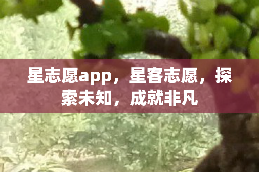 星志愿app，星客志愿，探索未知，成就非凡