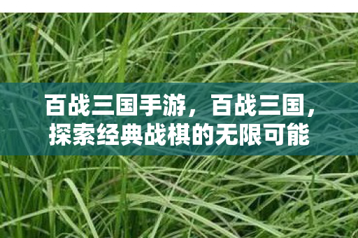 探索经典战棋的无限可能图片