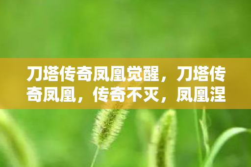 刀塔传奇凤凰觉醒,刀塔传奇凤凰,传奇不灭,凤凰涅槃 刀塔传奇凤凰觉醒,刀塔传奇凤凰,传奇不灭,凤凰涅槃