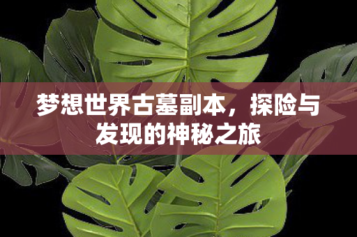 梦想世界古墓副本,探险与发现的神秘之旅 梦想世界古墓副本,探险与发现的神秘之旅