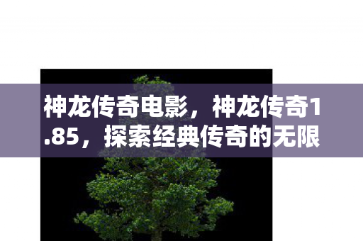 神龙传奇电影,神龙传奇1.85,探索经典传奇的无限可能 神龙传奇电影,神龙传奇1.85,探索经典传奇的无限可能