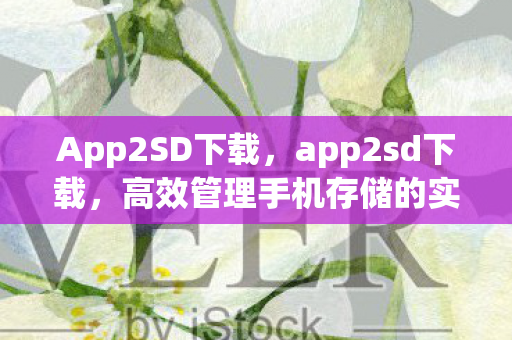 App2SD下载,app2sd下载,高效管理手机存储的实用工具 App2SD下载,app2sd下载,高效管理手机存储的实用工具