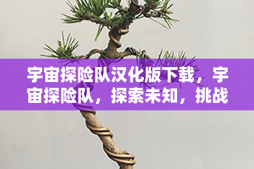 宇宙探险队汉化版下载，宇宙探险队，探索未知，挑战极限