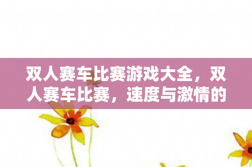 双人赛车比赛游戏大全,双人赛车比赛,速度与激情的碰撞 双人赛车比赛游戏大全,双人赛车比赛,速度与激情的碰撞