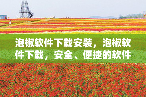 便捷的软件获取新途径图片