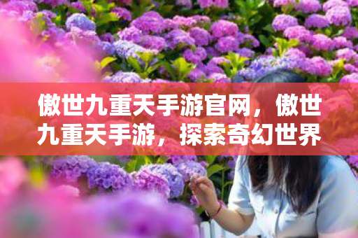 探索奇幻世界的无尽冒险图片