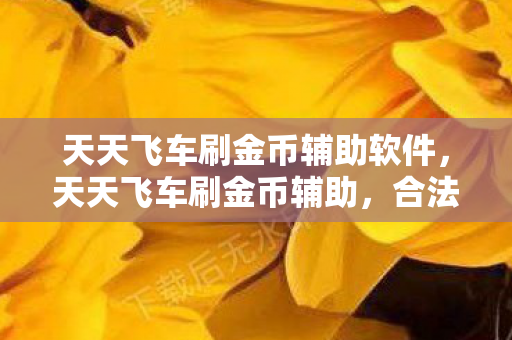 天天飞车刷金币辅助软件,天天飞车刷金币辅助,合法提升游戏体验的秘诀 天天飞车刷金币辅助软件,天天飞车刷金币辅助,合法提升游戏体验的秘诀