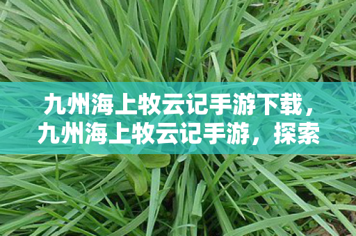 九州海上牧云记手游下载，九州海上牧云记手游，探索奇幻世界的无尽魅力
